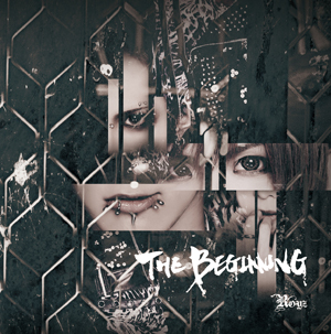 「THE BEGINNING」【Dtype 通常盤】